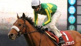 【皐月賞】出走馬の調教後の馬体重