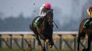 【武豊日記】週末の貴重な娯楽としての競馬に全力を