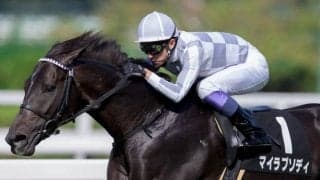 武豊騎手 今週の騎乗馬