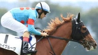 良血スカイグルーヴが「打倒・デアリングタクト」の一番手となるか