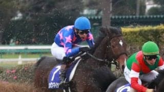 シングンマイケル死す