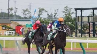 キングズガード号が競走馬登録抹消