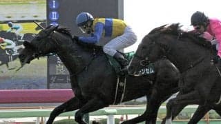 エアアンセム号が競走馬登録抹消