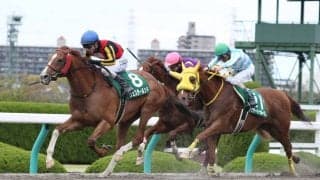 【アンタレスS】ウェスタールンドが差し切り！8歳にして嬉しい重賞初制覇