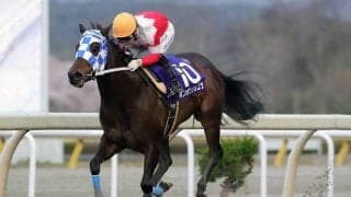 【水沢・留守杯日高賞】ボンボンショコラが優勝！