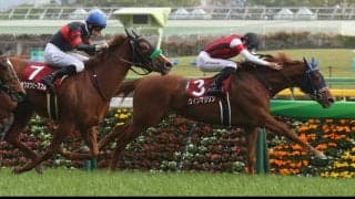 【フローラS】4番人気 ウインマリリンが抜け出す