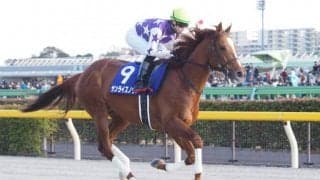 【かしわ記念】JRA出走予定馬