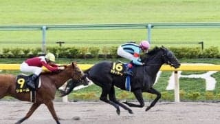 【かきつばた記念】JRA出走予定馬