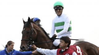 【天皇賞・春】出走馬の調教後の馬体重