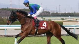 「荒れる」天皇賞・春で穴馬２頭を厳選。うち１頭の秘策が炸裂の予感