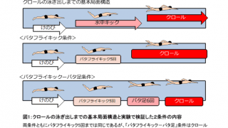 クロールでの泳ぎ出し前のバタ足追加は大きな減速に…順天堂大学