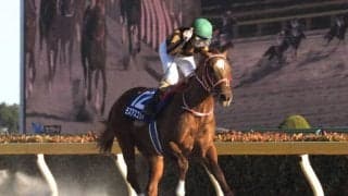 【かしわ記念】枠順と見どころ モズアスコットは5枠5番