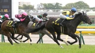 【スイートピーS】デゼルが無傷の2連勝でオークスへ