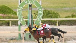 【兵庫CS】ルメール騎乗 バーナードループが3連勝で重賞初V！