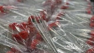 【大学野球】「感謝したい人へ」東京六大学選手たちが贈る　メッセージとカーネーション