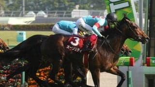 オーソリティが骨折判明