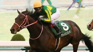 【NHKマイルC】枠順と見どころ 武豊サトノインプレッサは8枠17番