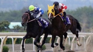 【水沢・シアンモア記念】壮絶な叩き合いの末、ランガディアがエンパイアペガサスをハナ差退けて優勝！