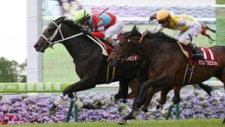 【京都新聞杯】ディープボンドが差し切り！アドマイヤビルゴは敗れる