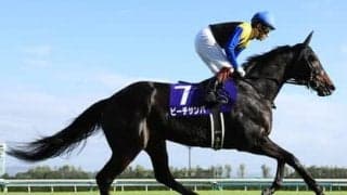 ヴィクトリアマイルでアーモンドアイと一緒に狙える重賞未勝利の２頭