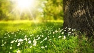 外出自粛の今こそ、体を動かし、新しい運動習慣をつくっていきませんか！