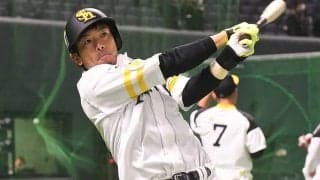 「どちらが熱男!?」　鷹・松田宣の双子の兄との幼少期“秘蔵”写真にファン混乱