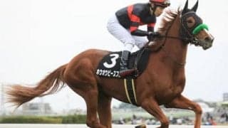 オークスで台風の目となるか。ホウオウピースフルは一発を秘める良血馬