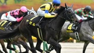 連勝でオークスに挑むデゼル。新星は早世した母に勝利を届けられるか
