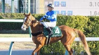 【さきたま杯】JRA出走予定馬