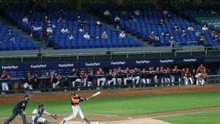 台湾プロ野球が6月7日にもスタンド“全面開放”へ　地元メディア報じる