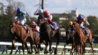 【日本ダービー】出走馬の調教後の馬体重