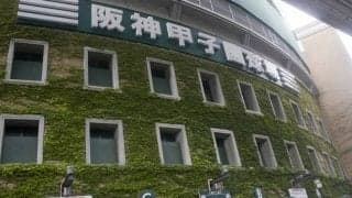 申し訳ないが他競技と比べ「高校野球が特別である」３つの理由