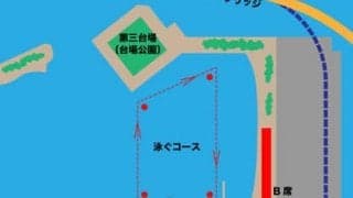 来夏の五輪開催があれば、あの水泳競技は「チケットなし」で見られるか？