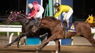 【東京ダービー】エメリミットが接戦を制する！人馬共に重賞初制覇