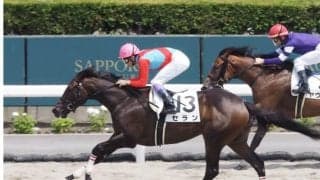 【関東オークス】JRA出走予定馬