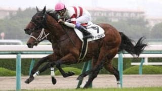 【新馬/阪神5R】一番星はダディーズビビット！武豊が勝利に導く