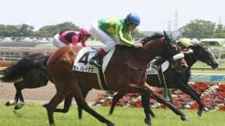 【新馬/東京5R】サトノフラッグ全妹 サトノレイナスがデビューV