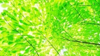 自粛続きで運動不足の今夏、熱中症リスクに要注意！ミネラル入りむぎ茶で暑さに負けない身体づくりを！ 医師が教える、暑熱順化とは？