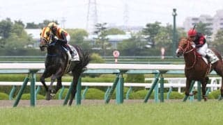 【新馬/阪神5R】キズナ産駒 フラーズダルムが4馬身差完勝！