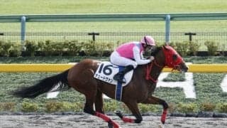 【ユニコーンS展望】ダート王への登竜門、好走の条件とは