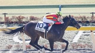 【ユニコーンS】レッチェバロック　大差・9馬身差で無傷2連勝中