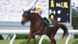 【三宮Sハンデ確定】ヴェンジェンスは58kg、クリンチャーは57.5kg