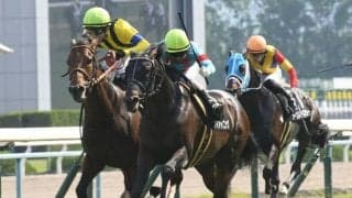 【函館スプリントS見どころ】ダイアトニックが重賞2勝目を狙う