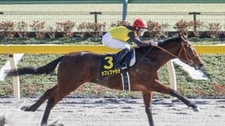 【ユニコーンS想定騎手】カフェファラオはレーン騎手、デュードヴァンはデムーロ騎手