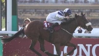 【英・キングズスタンドS】2年連続2着のバターシュ、3歳牝馬リバティビーチらが参戦