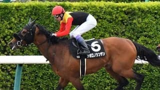 【先週のJRA抹消馬】オープン馬アポロノシンザン・ドミナートゥス、良血馬エルプシャフトなど