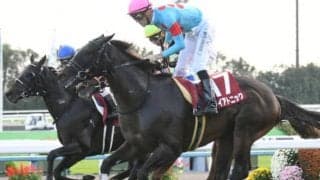 【函館スプリントS予想オッズ】武豊騎手と初コンビのダイアトニックが予想1番人気