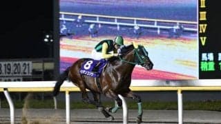 【京成盃GM予想】好メンバー揃いの南関古馬マイル重賞は配当妙味にも期待！