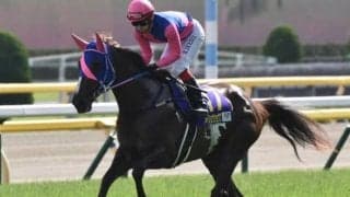 【函館スプリントS展望】サマースプリントシリーズ開幕戦、あの馬の巻き返しを期待したい