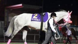 【京成盃グランドマイラーズ予想】川崎マイラーズ再戦メンバーも混戦必至!!/NARレース展望